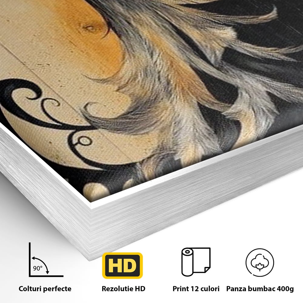 Detaliu al suprafetei: tablou canvas cu pasare mitologica phoenix, in rama de aluminiu argintiu